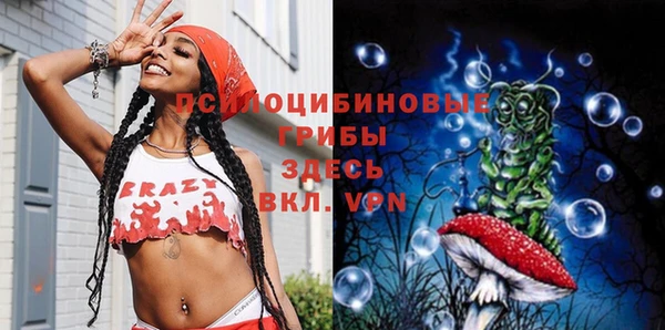 spice Покров
