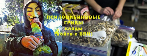 молекула духа Алзамай